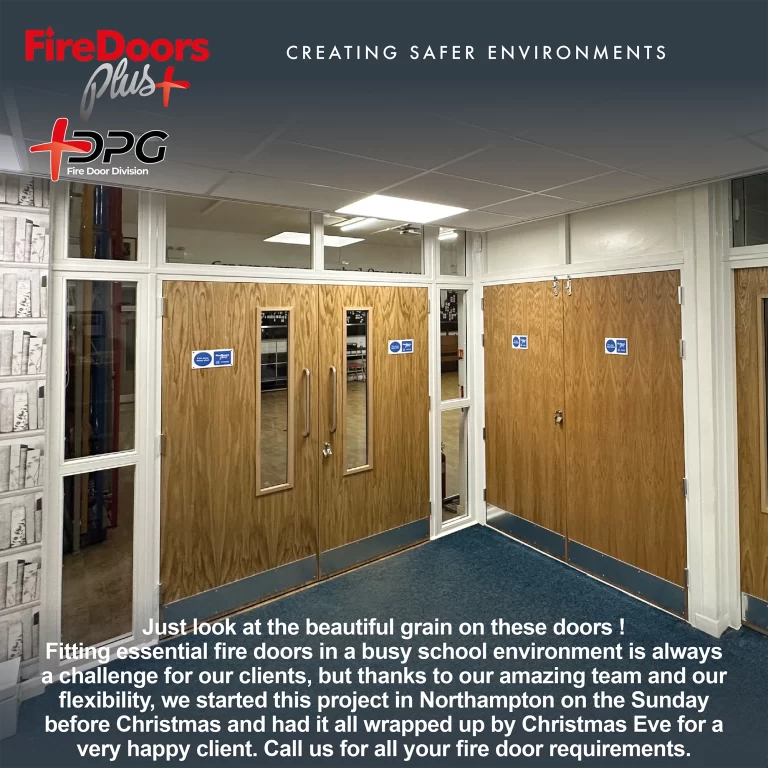 Primary School Double Fire Door and Cupboard Doors